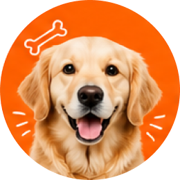 Dogs
