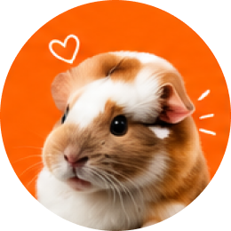 Guinea Pigs