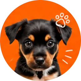 Puppies