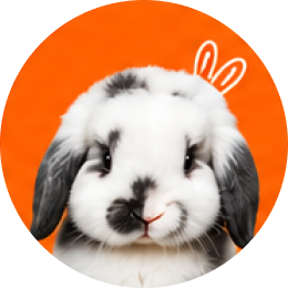 Rabbits
