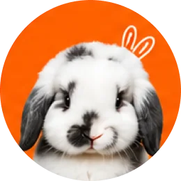 Rabbits