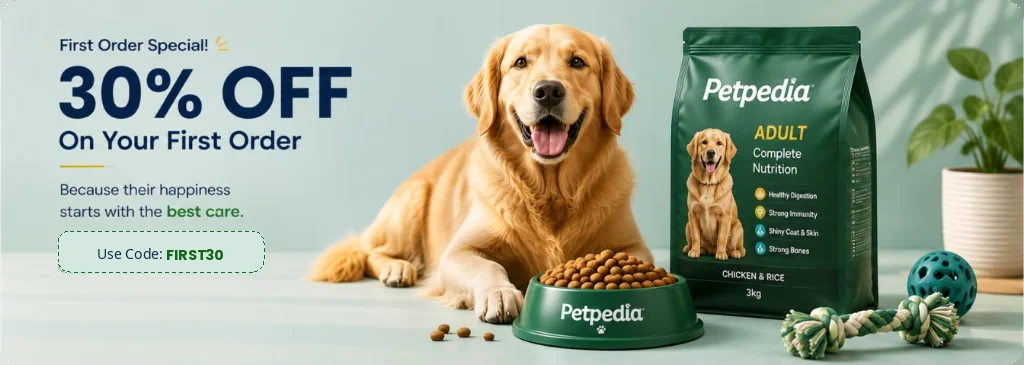 First Order Special - 30% OFF On Your First Order - Code: FIRST30