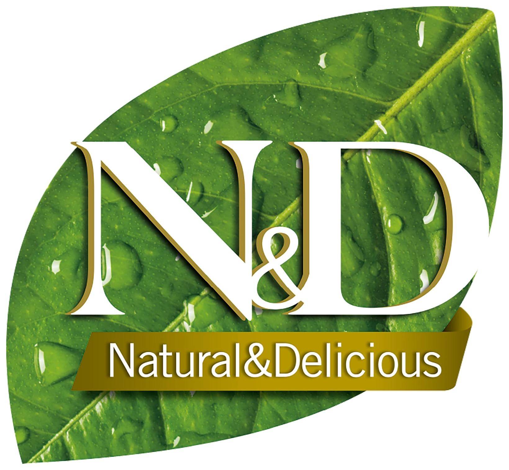 N & D